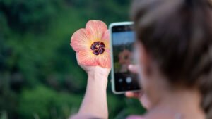 flores-online-em-curitiba