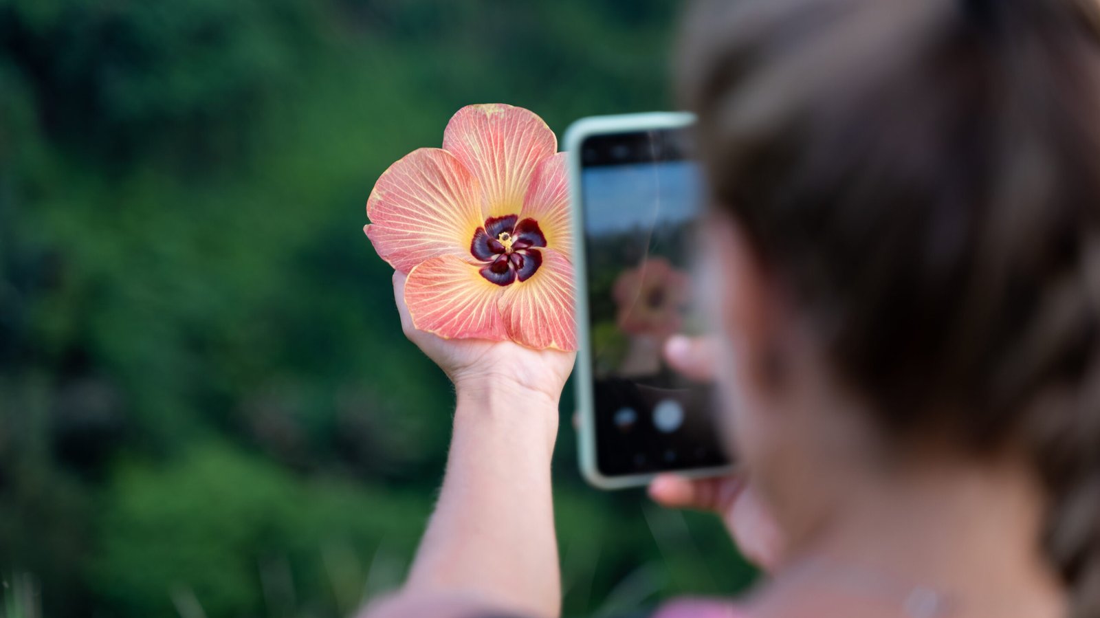 flores-online-em-curitiba